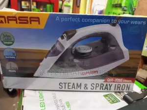 QASA Steam Spray Iron