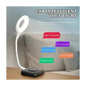Usb Smart Voice Controlled Led Night Light