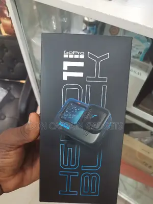 Dji Go Pro 11