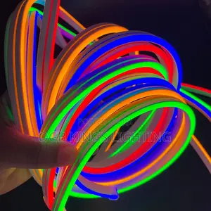 Flexible Neon Light Strip 5V 5mtrs Indoor and Outdoor