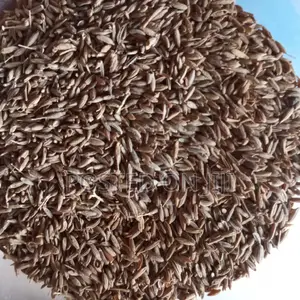 Cumin Seeds 100g
