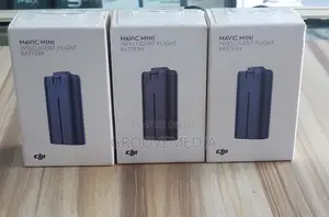 Dji Mini Battery