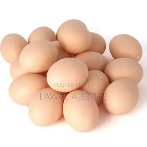 30pcs Fake Eggs Toys For Children Kitchen Simulation Egg Mod
