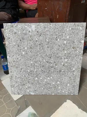 Grey Dotted Floor Tile