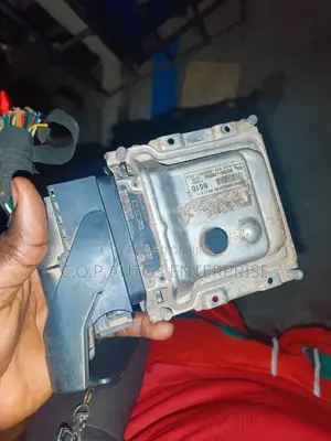 Brainbox for Kia and Hyundai R1