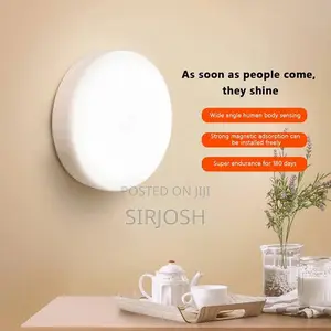 Magnetic Adsorption Lamp