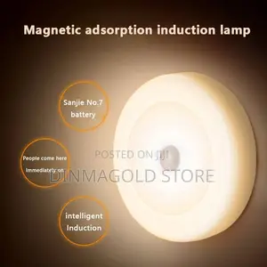 Automatic Light on/Off for Home