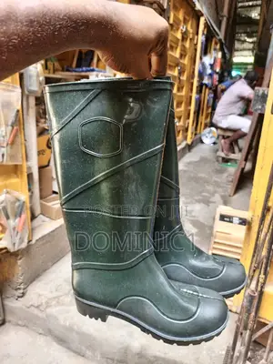 Green Rain Boot Ordinary