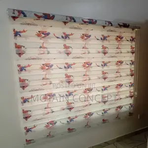 Day and Night Window Blinds