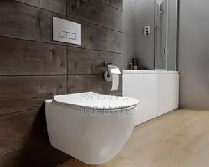 Executive England Conceal Water Closet (C5)