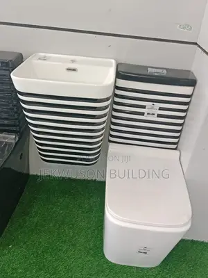 White and Black Line Executive Wc With Suspended Basin