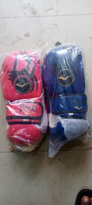 Everlast Boxing Glove