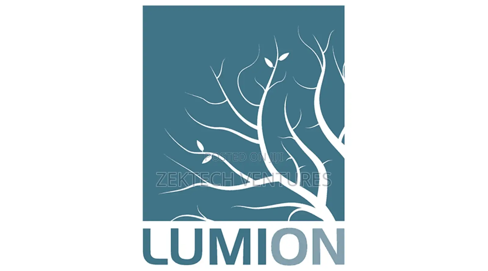 Lumion 10 Pro
