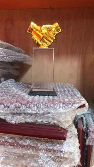Trophy Glass Award C6