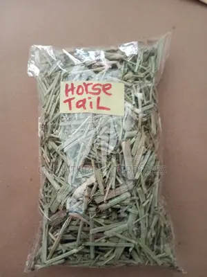 Horse Tail Leaf 100 Gm
