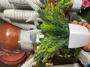 Beautiful Flower and Pot