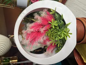 Beautiful Flower Pots