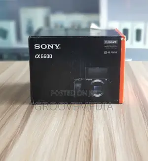 Sony A6600 Camera Body Only