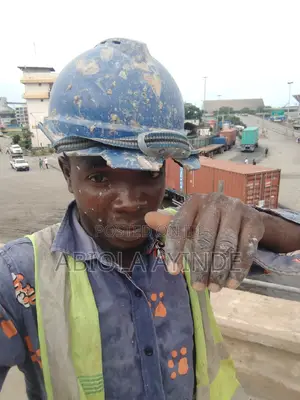 Professional Plumber
