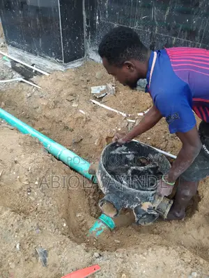 Professional Plumber