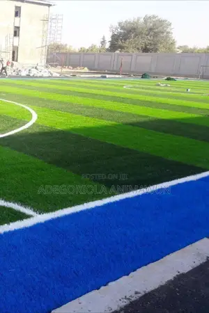 High Quantity Football Grass (Abuja Best Price)