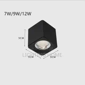 Parapet Light