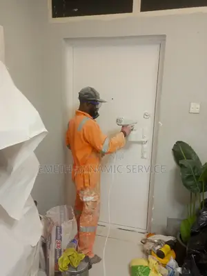 Spray House Painter, Cornice Installation and Screeder