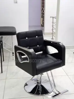 Salon Chair