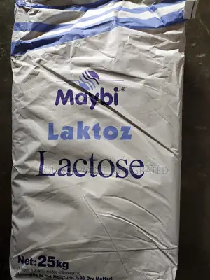 Lactose Powder