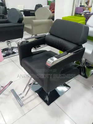 Salon Chair