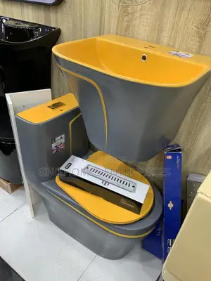 Gray Color WC