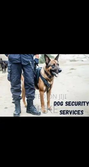 Dog Security Guard Services