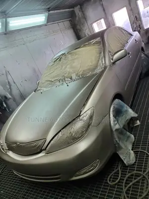 Looking for a Car Painter? We Are Mobile!!