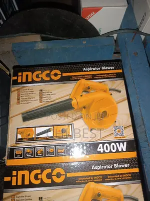 Ingco Aspirator Air Blower Vacuum Cleaner- 400W