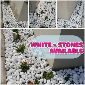 Decorative White Stones