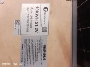 Felicity Lithium Ion Battery 10kwh 51.2v