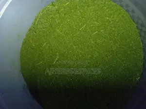 Undiluted Dried Moringa Powder