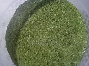 Undiluted Dried Moringa Powder
