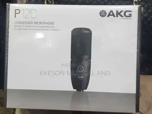 Akg Studio Mic P120