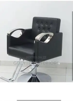 Luxury Salon Chair