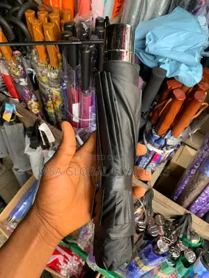 Hand Portable Umbrella