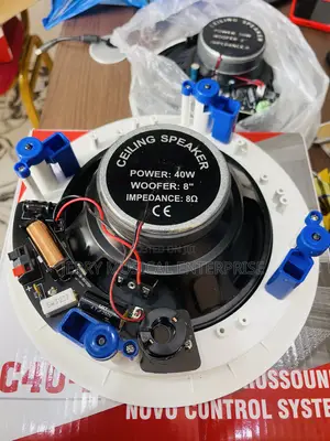 C40-2 Dart Ceiling Speakers