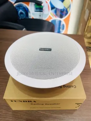 30watts Tundra Ceiling Speakers