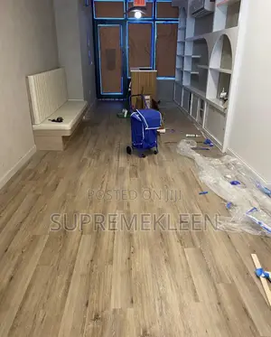 Best Professional Cleaning Services With a Wow Results