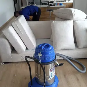 Professional Seat Sofa Cleaning at Its Best 