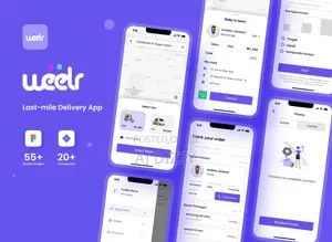 Ui/Ux Designer || Web Developer || Shopify Expert