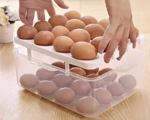 Egg Storage Container (32grid Storage Container)