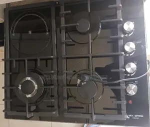 3 Gas and 1 Electric Burner