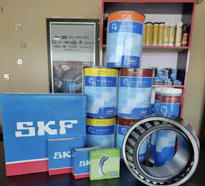 All Available Now in the Store SKF Bearing