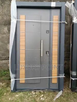 Luxury Door9